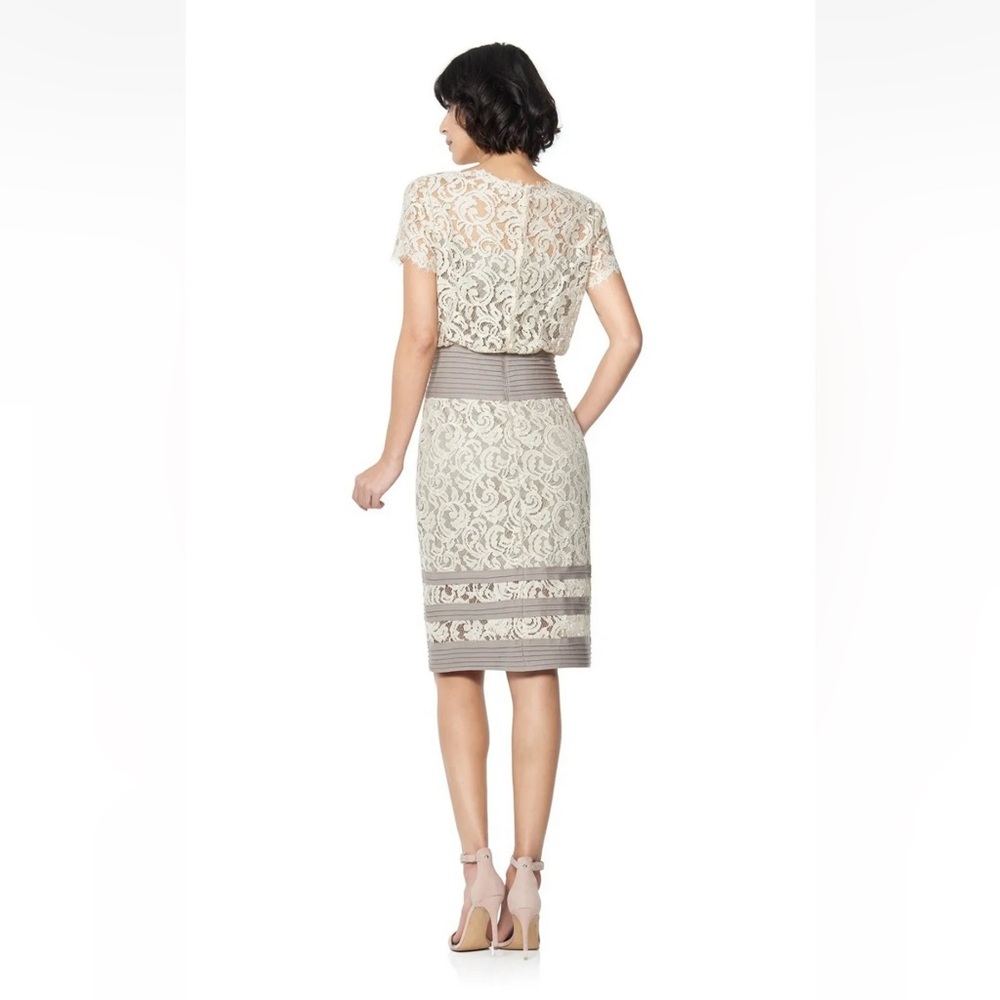 Tadashi Shoji lace dress. Size 2 - Picture 10 of 10